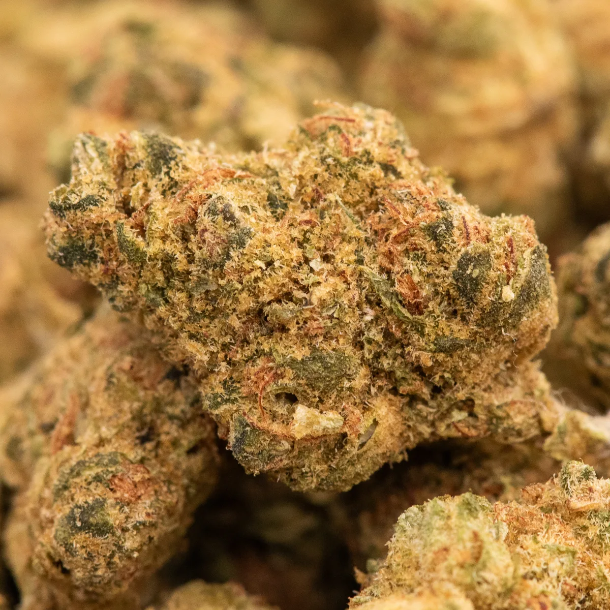 Coma Kush