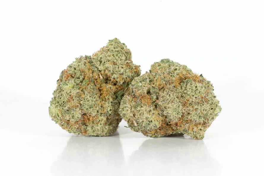 Donkey Butter - Starbuds Halifax - shrooms halifax