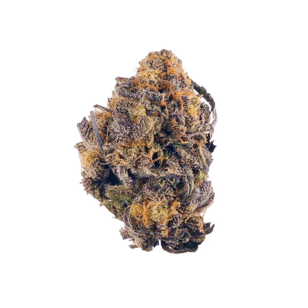 Purple Punch - Starbuds Halifax - shrooms halifax