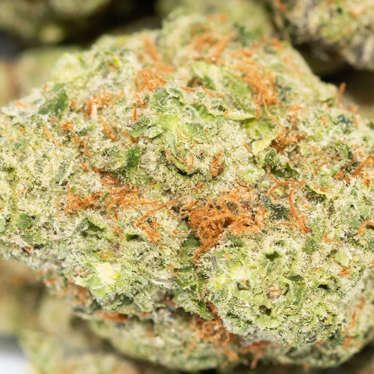 Super Lemon Haze Mini