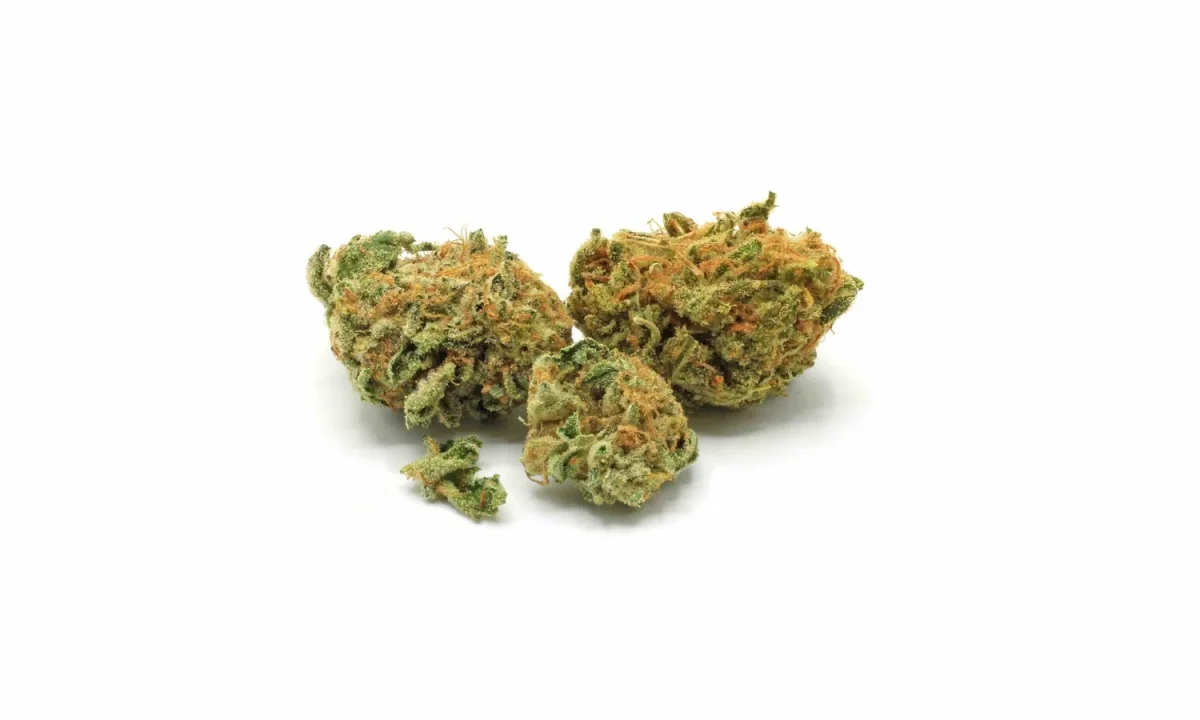 Orange Crush Smalls - Starbuds Halifax - shrooms halifax