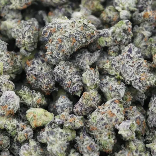 Full Moon - Starbuds Halifax - shrooms halifax