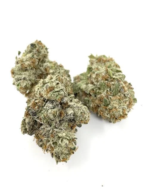 Frosted Melon Gelato - Starbuds Halifax - shrooms halifax