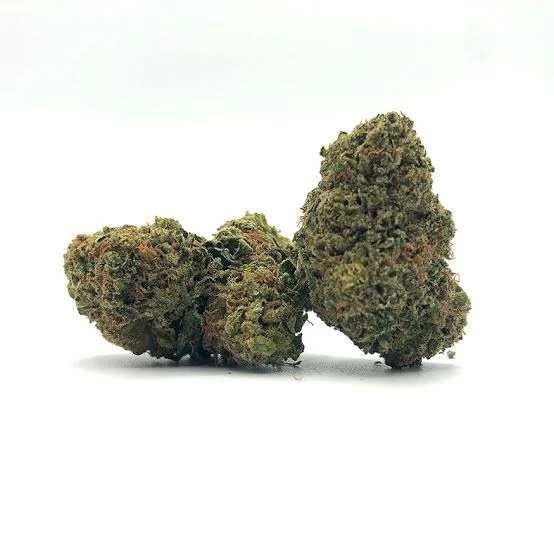 OMFG - Starbuds Halifax - shrooms halifax