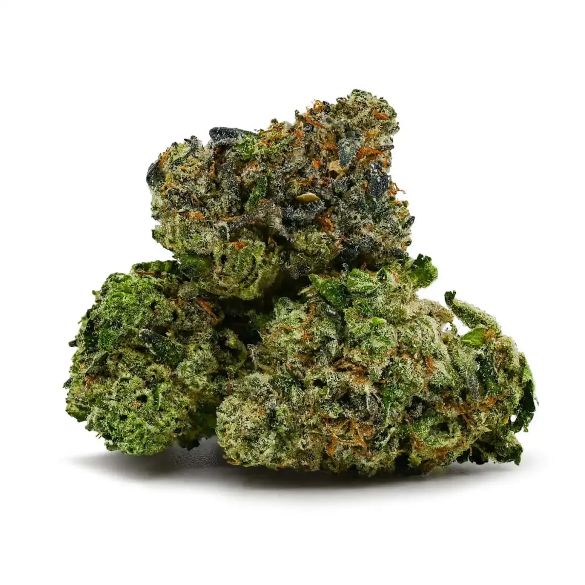 Island Shark OG - Starbuds Halifax - shrooms halifax