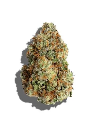 Blockberry - Starbuds Halifax - shrooms halifax