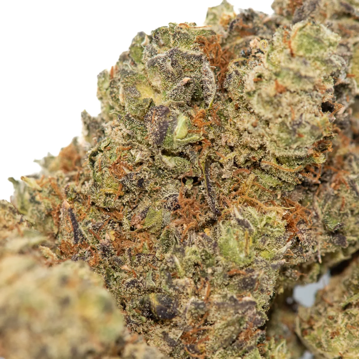 Slurricane - Starbuds Halifax - shrooms halifax
