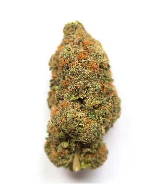 Lindsey OG AAAA - Starbuds Halifax - shrooms halifax