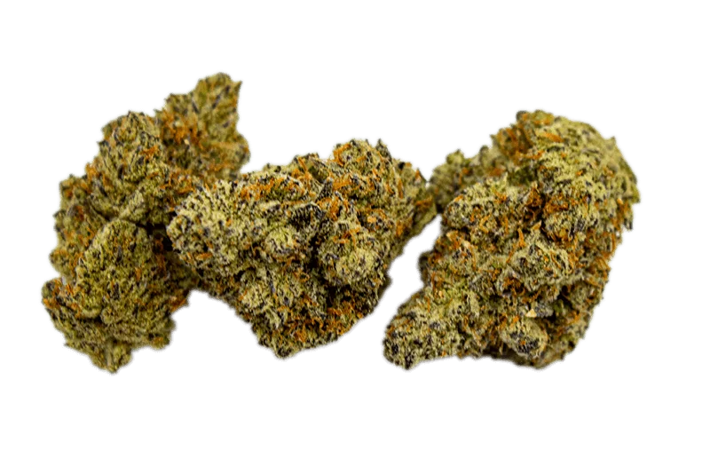 Mimosa Girl - Starbuds Halifax - shrooms halifax