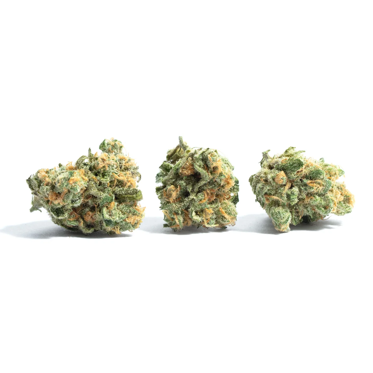 Kanas City Kush - Starbuds Halifax - shrooms halifax