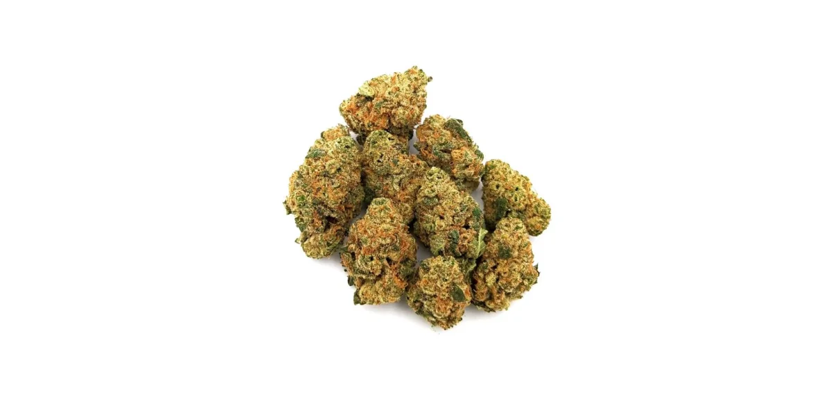 Lemon Biscotti - Starbuds Halifax - shrooms halifax