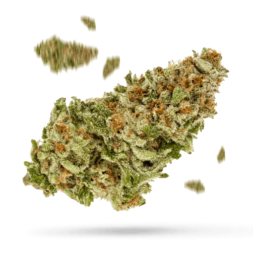 Tropicana Cookies - Starbuds Halifax - shrooms halifax
