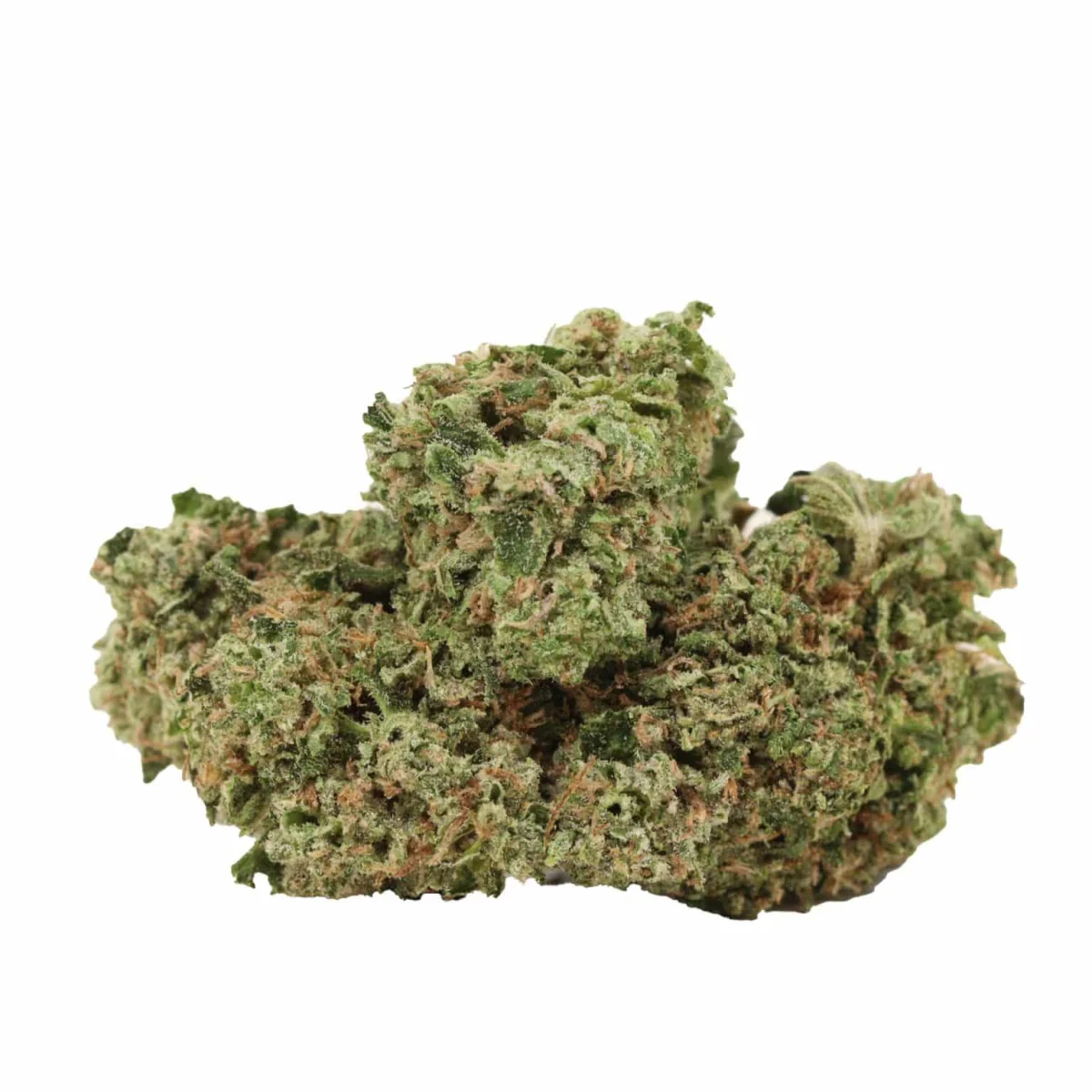 Rainbow Kush - Starbuds Halifax - shrooms halifax