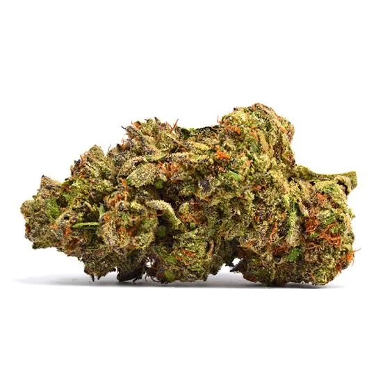 Lemon Petrol - Starbuds Halifax - shrooms halifax