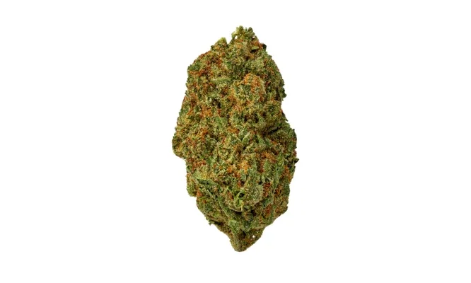Highway Man - Starbuds Halifax - shrooms halifax